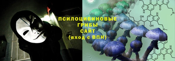 бутират Верея