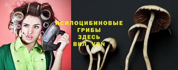 бутират Верея